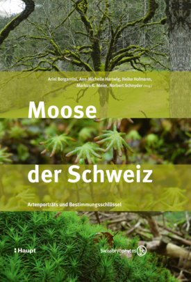 Buchcover mit moosbewachsenem Baum im Hintergrund und Moos im Vordergrund, Titel 'Moose der Schweiz', Untertitel 'Artenportraits und Bestimmungsschlüssel', Verlagslogo Haupt und Swissbryophytes-Logo