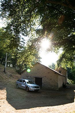 sanasilva 17