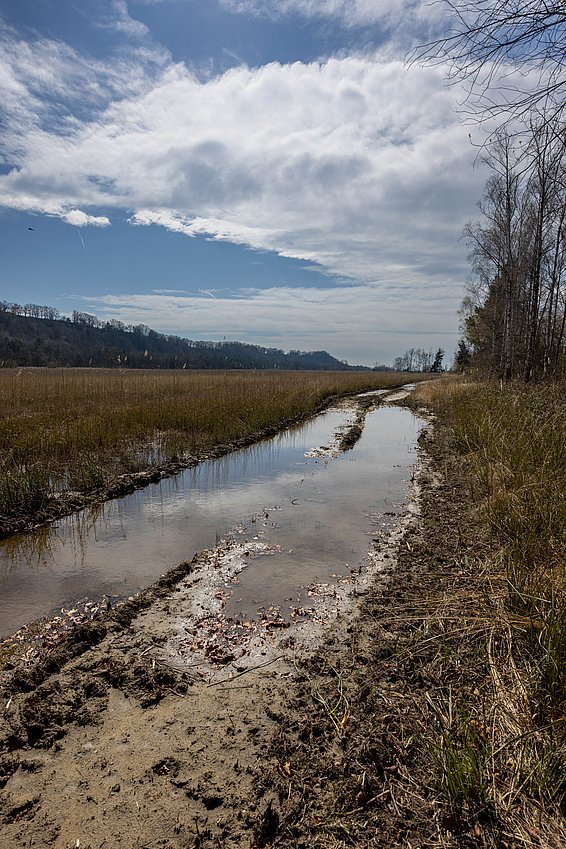 Langer, schlammiger Weg mit Wasserpfützen neben einem Feld und kahlen Bäumen unter bewölktem Himmel
