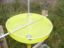 Der Trichter ist eine idealeForm, da er grosse eine Oberfläche mit geringem Wasservolumen vereinigt.