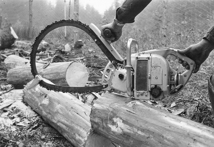 A bow saw is placed in the centre of the picture. It is held by two hands, but the person holding it is not visible. In the background, there is a forest and a tree trunk that has been sawn in half.