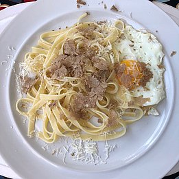Können wir in Zukunft einheimische Weisse Trüffel über unsere Pasta hobeln? (Foto: Andreas Lendorff)