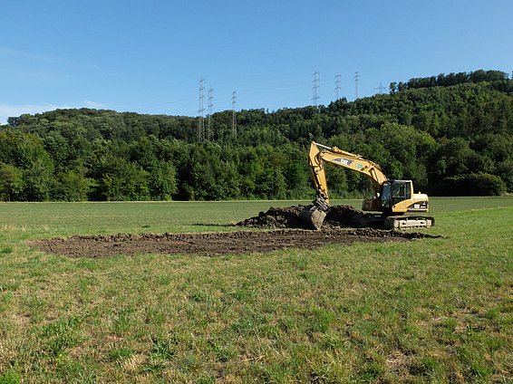 Graben für die Amphibien: Von grossen, seichten Teichen in der offenen Landschaft profitiert vor allem die Kreuzkröte.