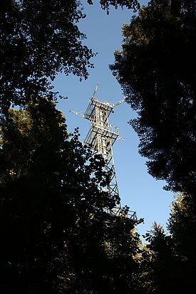 Figure 1: Tower Laegeren Zindlen (Photo: Peter Waldner)