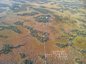 Hochmoor in Sibirien. Bild: Alexandre Buttler, WSL