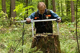 Im Rahmen des fünften LFI werden erstmals auch alle noch sichtbaren Wurzelstöcke aufgenommen. Foto: Simon Speich, WSL