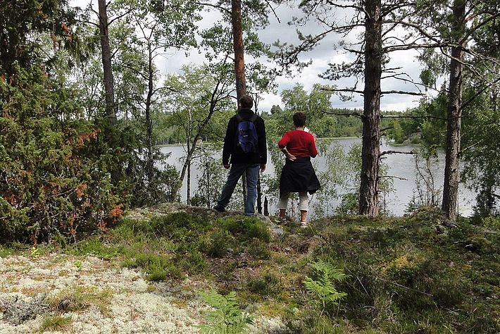 Erholungssuchende in einem Föhrenmischwald in Südschweden
