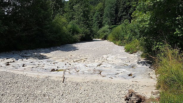 A dry riverbed with smooth, light-colored stones and gravel, surrounded by lush greenery and trees on both sides. The scene indicates a lack of water, creating a stark contrast between the rocky ground and the vibrant foliage. It is the Töss. 