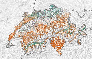 Potenzielle Vorkommen der Waldföhre. (Karte: LFI) 