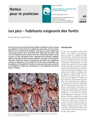 Les pics – habitants exigeants des forêts