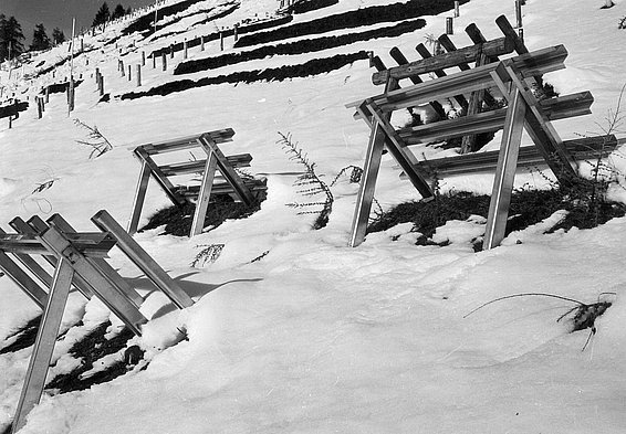Schwarz-weiße Aufnahme von mehreren Holzgerüsten auf schneebedecktem Hang mit Terrassen im Hintergrund