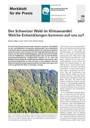 Der Schweizer Wald im Klimawandel: Welche Entwicklungen kommen auf uns zu?
