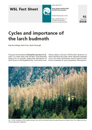 Cycles and importance of the larch budmoth