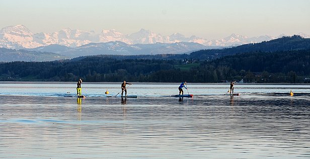 Vier Personen paddeln auf Stand-Up-Paddle-Boards auf einem ruhigen See in der Schweiz mit Bergen im Hintergrund