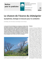 Le chancre de l’écorce du châtaignier. Symptômes, biologie et mesures pour le combattre