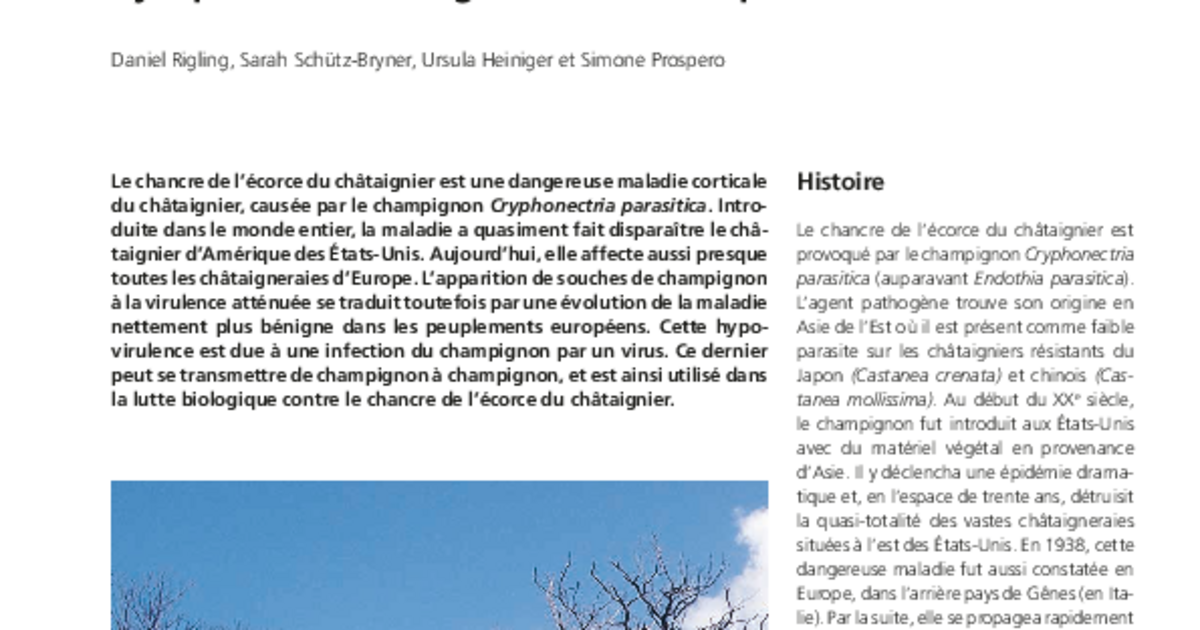 Daniel Rigling Le chancre de l'écorce du châtaignier