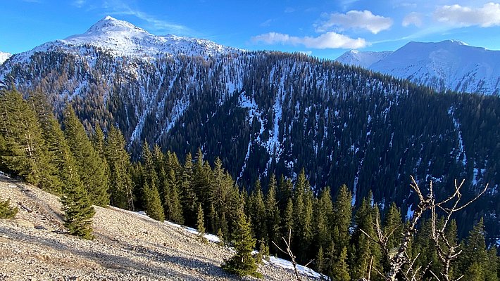 Vue panoramique d'une montagne enneigée surplombant une forêt de conifères. Le ciel est partiellement nuageux avec des teintes de bleu. Des pentes escarpées et rocheuses montrent un paysage naturel impressionnant.