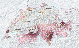 Eine Karte der Schweiz mit roten und gelben quadratischen Markierungen. Sie zeigt die Verbreitung von Lycaena virgaureae. Rot: nach 2000, orange: vor 2000. Grafik: info fauna