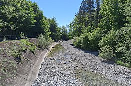 Dry riverbed with rocky bottom and forested banks under blue sky
