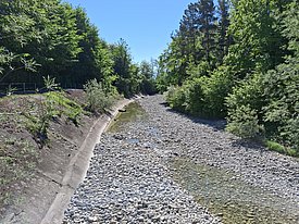 Dry riverbed with rocky bottom and forested banks under blue sky