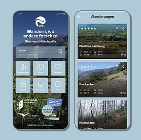Die gratis App hilft bei der Navigierung, weist auf die Informationsposten hin und enthält Links zu Videos und anderen Informationen. Sie ist unter hiking.wsl.ch zu finden. 