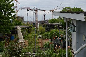 Familiengarten in einer Stadt. Im Hintergrund Baukräne, die die Stadtverdichtung symbolisieren. Bild: David Frey, WSL