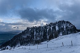 Mit über 170-jährigen Bäumen und einer Gesamtfläche von mehr als 1000 Hektaren sind diese beiden Schweizer Waldreservate ein wertvolles genetisches Reservoir nicht nur für die Buche, sondern auch für zahlreiche assoziierte und von diesen Lebensräumen abhängige Tier- und Pflanzenarten. (Foto: Markus Bolliger)