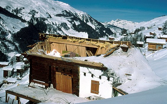 Borza-Staublawinenschaden  Evolène (VS), Foto: M. Phillips, SLF