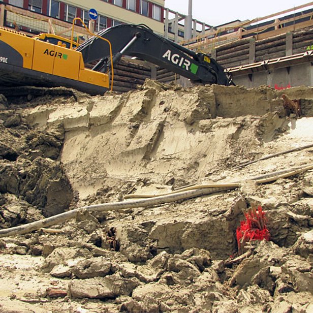 Bois subfossile: Génie civil. (Photo: F. Reinig)