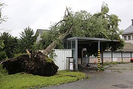 Foto: Gilbert Projer, WSL