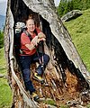 Larix decidua