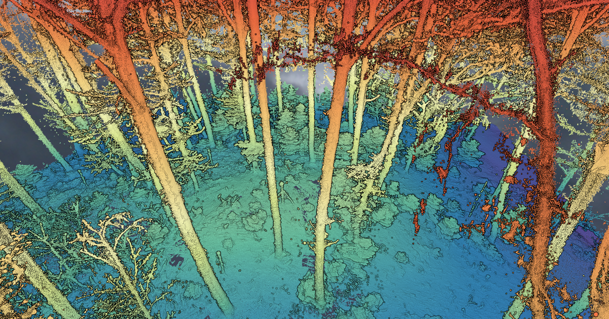 Open Laser Scanning Database for characterization of Forest Biophysical ...