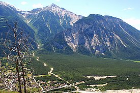 Der Pfynwald im mittleren Wallis ist der grösste zusammenhängende Waldföhrenwald in der Schweiz. 