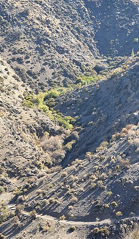 Berglandschaft mit steilen, felsigen Hängen und vereinzeltem niedrigem Bewuchs unter klarem Himmel
