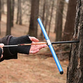 Für die Jahrringforschung werden Kerne mit speziellen Zuwachsbohrern entnommen.
