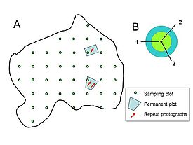Diagram of the monitoring elements in an extensively monitored reserve.  A: General view of the reserve. B: Sampling plot and line transects. 