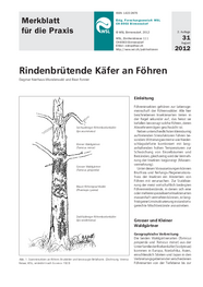 Rindenbrütende Käfer an Föhren