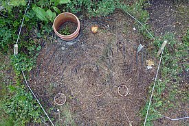 Nach dem Entfernen der Vegetation sind die Heizkabel (schwarz) wieder sichtbar.