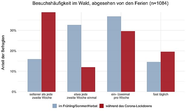 Säulendiagramm zur Besuchshäufigkeit im Wald