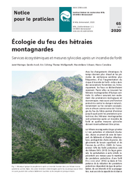 Écologie du feu des hêtraies montagnardes