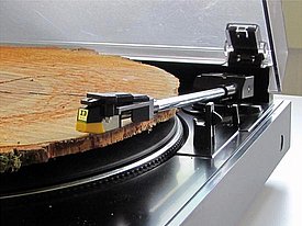 Foto: Christina Della Giustina