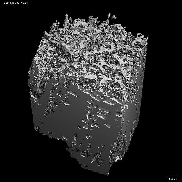 Una scansione microCT della superficie rifrangente. Foto: A. Macfarlane
