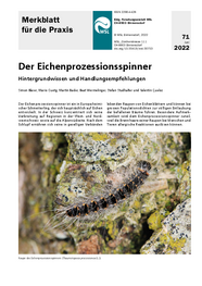 Der Eichenprozessionsspinner. Hintergrundwissen und Handlungsempfehlungen