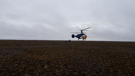  Ein Helikopter bringt Wissenschaftler auf Wiese-Insel. Foto: Joël Rüthi