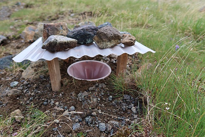 … für ein kleines Dach, das vor Regen schützt. (Foto: Jochen Bettzieche / SLF)