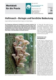 Hallimasch – Biologie und forstliche Bedeutung