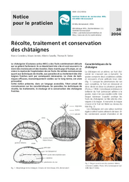 Récolte, traitement et conservation des châtaignes
