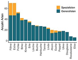 Baumarten Saeulendiagramm