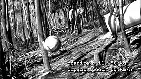 Eine runde Betonkugel schiesst aus einem Rohr und prallt auf einen Götterbaum, der in einem Wald steht.