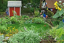 Artenreicher Familiengarten am Stadtrand von Zürich. Bild: David J. Frey, WSL